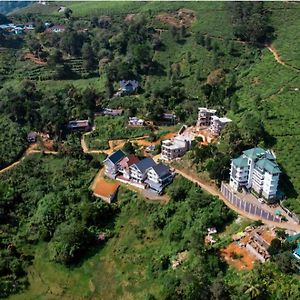 Nest Mountain Munnar